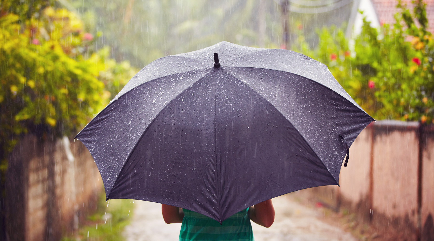 it-s-raining-do-you-have-an-umbrella-forward-thinking-tangerine